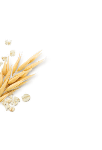 Harraways graphic image of wheat sheaf