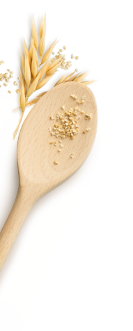 Harraways spoon holding steel cut oats